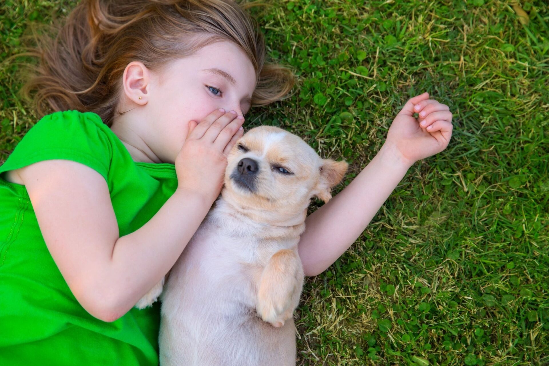 Service and Therapy Dog Consultant