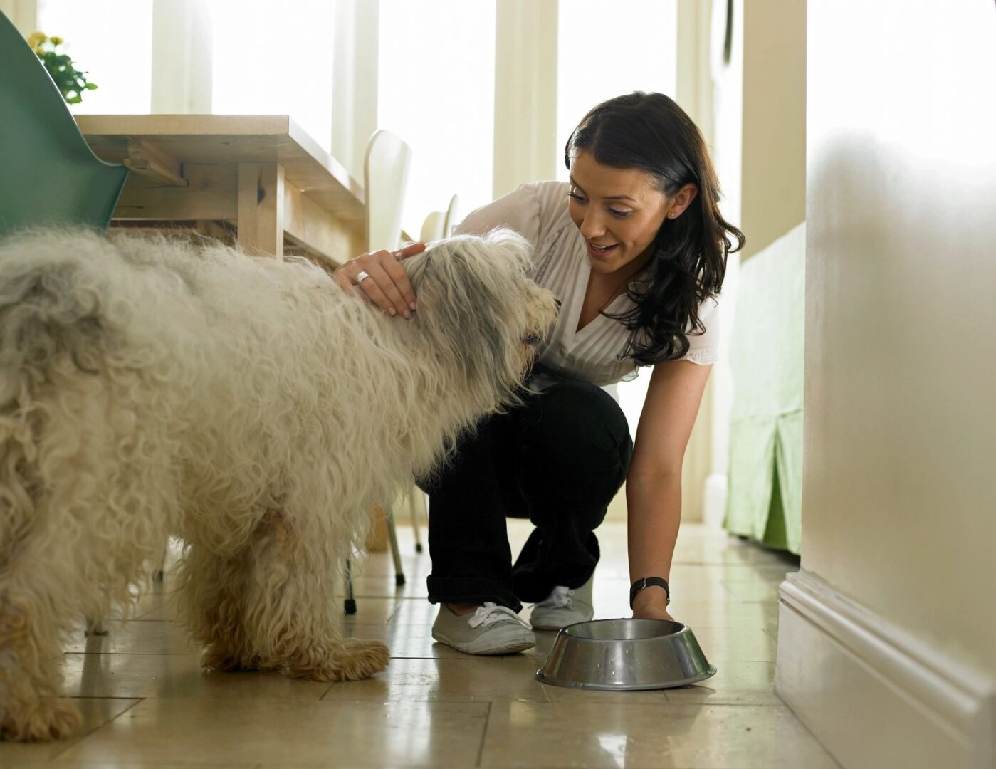 Service and Therapy Dog Consultant